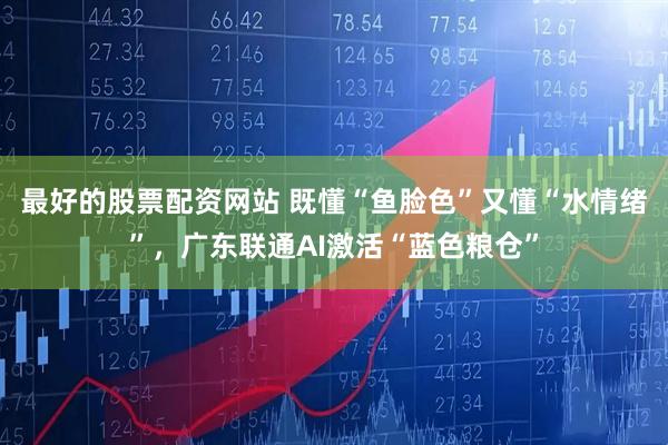 最好的股票配资网站 既懂“鱼脸色”又懂“水情绪”，广东联通AI激活“蓝色粮仓”
