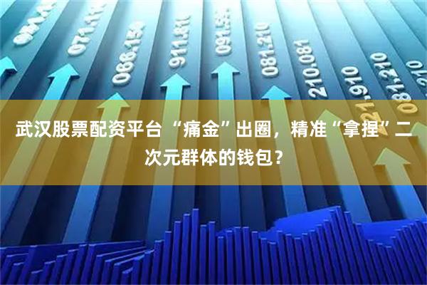 武汉股票配资平台 “痛金”出圈，精准“拿捏”二次元群体的钱包？